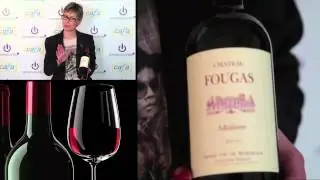 Ch&acirc;teau Fougas - Maldoror - C&ocirc;tes de Bourg 2010
