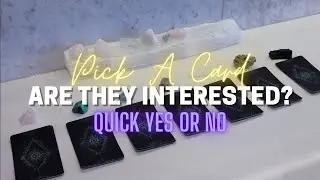 🤔ARE THEY INTERESTED?🤔QUICK YES OR NO [PICK A CARD]