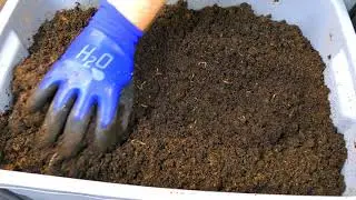 Hardwood Pellets as bedding update (06/07/2019)