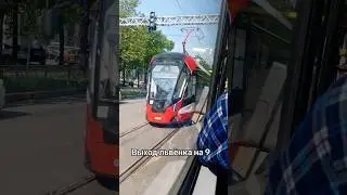 Львёнок на 9 ке! #транспорт #tram #подпишись #спб #львёнок #сттп #пктс