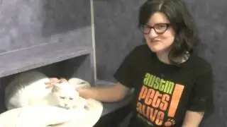 Animal Shelter PSA