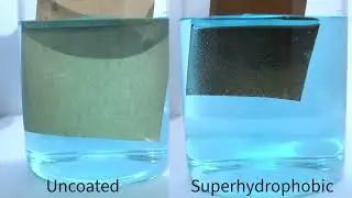 EcoBarrier Coatings. &ldquo;Replacing plastic by transforming paper&rdquo;