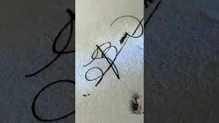 How To Sign The Letter B?? #signature #signfabrication #alphabet #englishalphabet #calligraphyal