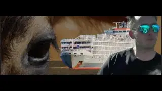 GULF LIVESTOCK1 - THE FINAL VOYAGE Official Film Trailer