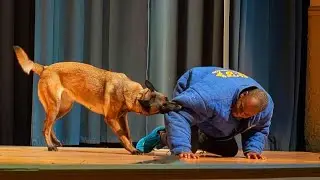 Showtime @ The Historic Ritz Theater.. Protection Dog Demonstration With Sage Belgain Malinois..