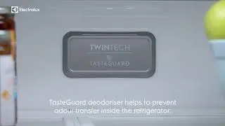 Дезодорант Electrolux TasteGuard
