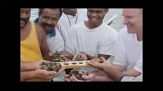 Training video for community-based marine monitoring