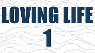 Channel Stewardship Transition