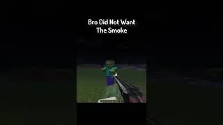 Bro Did Not Want The Smoke | #minecraft #minecraftshorts #minecraftmemes
