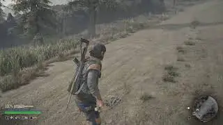 Days gone | Check