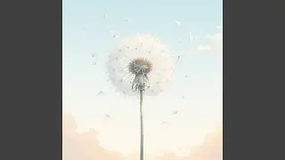 Bunny Dreams