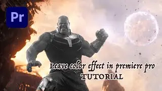 Leave Color in Adobe Premiere Pro CC