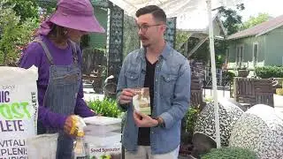 How to Grow Sprouts at Home