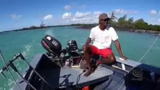 Worldwide Voyage | Reef Conservation Snorkeling Trails