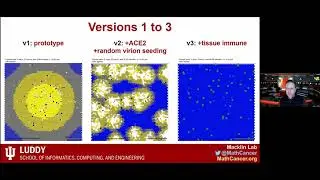 Rapid community-driven development of SARS-CoV-2 tissue simulator, by Paul Macklin