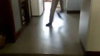 robot shuffle pro