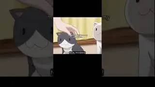 I love cats smmm!! anime:Supers&oacute;nico#relatable #cats #anime