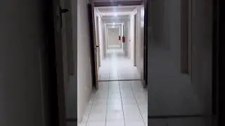 Hotel k room say snake 🐍 nikal aya video end tak del hein
