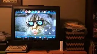 Wii Photo Channel: Cat