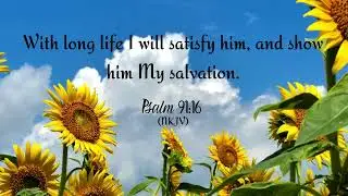 Prayer Prompt: Health