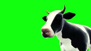 cow eating grass video green screen #greenscreen #greenscreenanimal #cow TheAnimalStoreGreenScreen