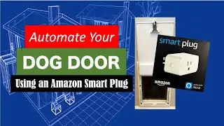 Automate Your Dog Door Using an Amazon Smart Plug.
