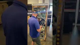 Cash cube money blowing machine rental in Nashville TN