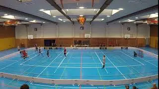 Tor 3:10 Patrick Arras (David Jesch) TV Schriesheim vs SV 03 T&uuml;bingen Sharks