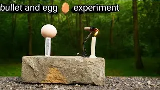 How to fire bullet in egg it home#bullet and egg experiment it home#science project/diy