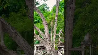 Monkey trail, Ao Nang, Krabi