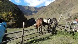Georgien Reittour biss.WMV