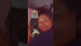 Freaking bird tickles me all the time.