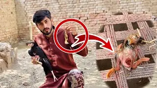 Hen Hatched a Duck 🦆 Murgi Ny Apna hi Bacha Mar Dia🥺🐥