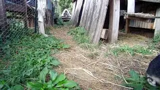 🌌🏚️ Wandering in the Wasteland: Zombunny Tales of The Rabbit City's Unique Perspective 🧟&zwj;♀️🌄
