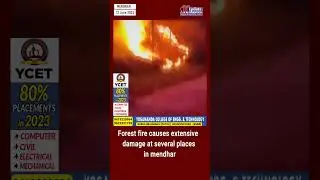 Forest fire causes extensive damage at several places in mendhar