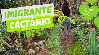 Imigrante RS - Cact&aacute;rio Horst - o MAIOR cact&aacute;rio da AM&Eacute;RICA LATINA