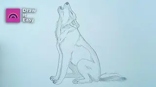 Online classes: How to Draw a Howling Wolf Step by Step