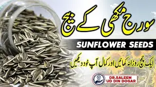 Sunflower Seeds Benefits | Top 7  Amazing Health Benefits of Sunflower Seeds | سورج مکھی کے بیج