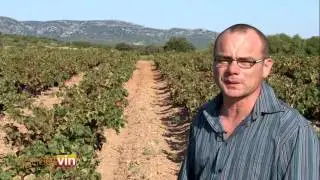 Ch&acirc;teau Champ des Soeurs Fitou dans l'Aude - Terroirs et patrimoine : vignoble fitou