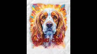 New song Canvas Soul 