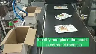 Pouch automate cartoning system, bags pick and place by delta robor arm