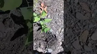 Surprising River Finds Metal Detecting
