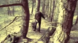 Mountain Witch - Snake Wand (vocal version)