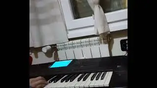 Technics SX-KN3000 test with Ketron expander sound and user style
