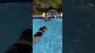 Tubar&atilde;o ataca na piscina 😱 #shark #meme #humor #shorts
