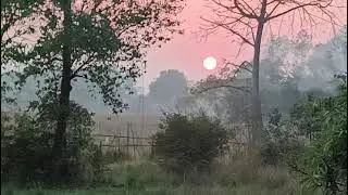 Sun set scene 🌅🌄🏙️💛