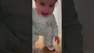 Sofia did you get my phone...Sofia answer....Noooo. 😂😂 The Video That Started It All #baby #babyboy