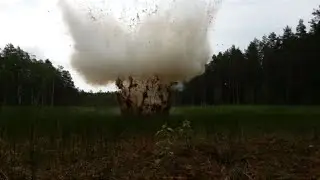 Big boy profi in swamp
