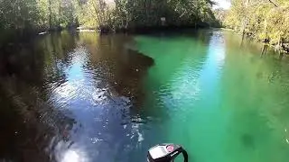 An adventure on the Silver and Ocklawaha rivers! INSANE views!!!!