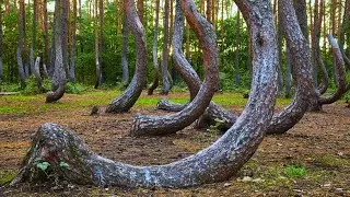 10 of the Most Mysterious Places in the World